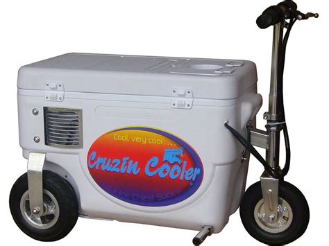 electric scooter cooler box|1000 watt electric riding cooler.